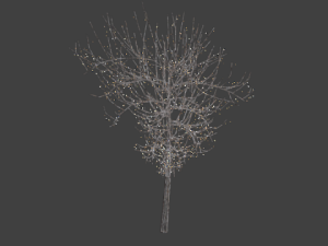 high poly autumn tree 3 3Dモデル
