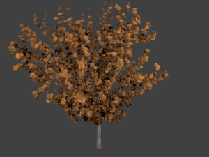 high poly autumn tree 3 3Dモデル