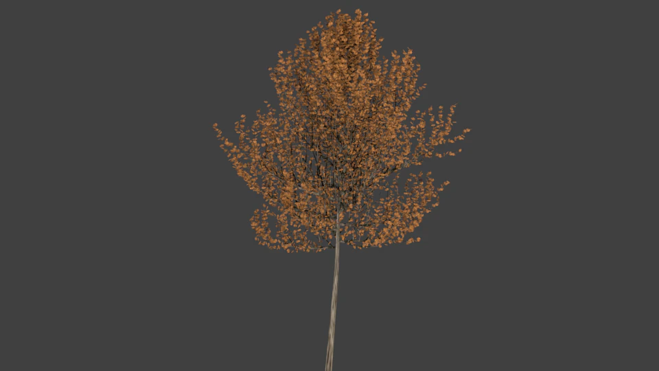 high poly autumn tree 4 3D Model .c4d .max .obj .3ds .fbx .stl .blend