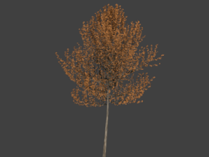 high poly autumn tree 4 3Dモデル