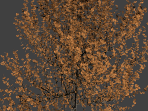 high poly autumn tree 4 3D मॉडल