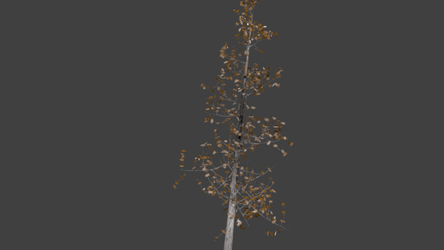 high poly autumn tree 5 Modèle 3D .c4d .max .obj .3ds .fbx .stl .blend 