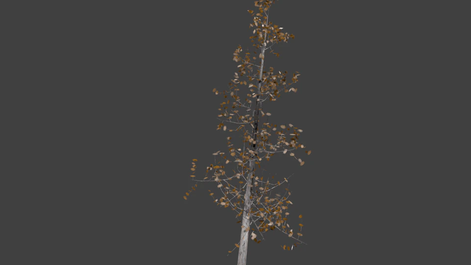 high poly autumn tree 5 3D Model .c4d .max .obj .3ds .fbx .stl .blend 