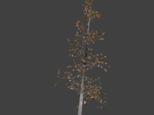 high poly autumn tree 5 Modelo 3D