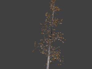 jesienne drzewo high-poly 5 Model 3D