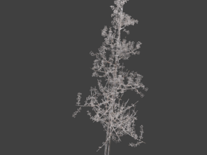 high poly autumn tree 5 Modèle 3D