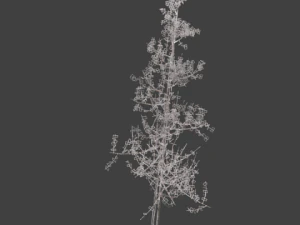high poly autumn tree 5 3D Model