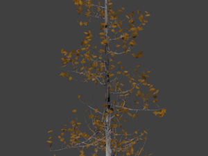 high poly autumn tree 5 Modèle 3D