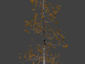 high poly autumn tree 5 3D Model