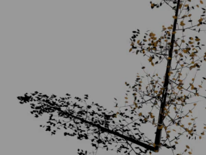 high poly autumn tree 5 3D Model
