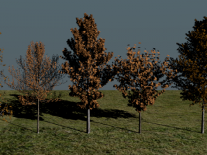 high poly autumn tree package 3Dモデル