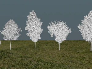 high poly autumn tree package 3D Model