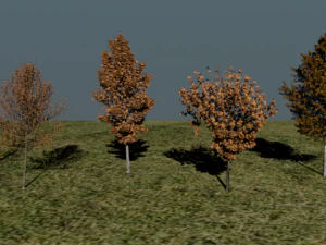 high poly autumn tree package 3D Model