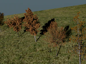 high poly autumn tree package 3D Model