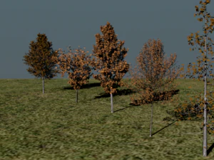 high poly autumn tree package 3D Model