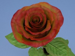 rose in vase Modèle 3D