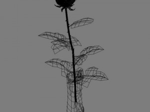 rose in vase Modèle 3D