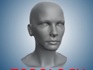head for sculpting 3D Модель