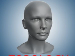 kepala untuk memahat Model 3D