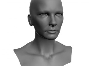 head for sculpting 3Dモデル