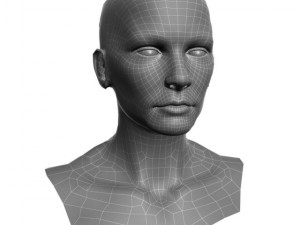 head for sculpting 3Dモデル