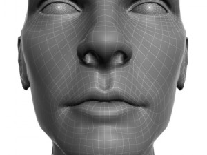 head for sculpting 3Dモデル