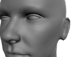 head for sculpting 3Dモデル