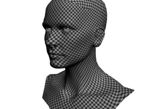 head for sculpting 3Dモデル