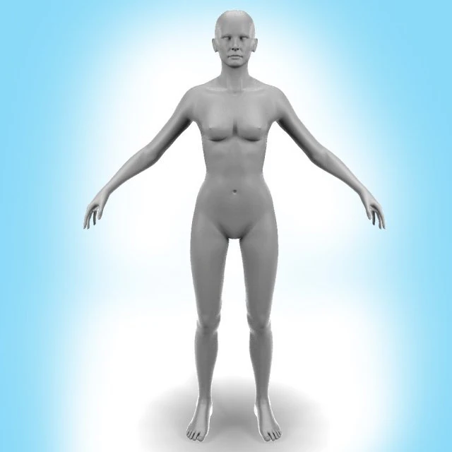 female body 3D Model .c4d .max .obj .3ds .fbx .stl .blend 