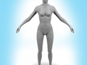 cuerpo femenino Modelo 3D
