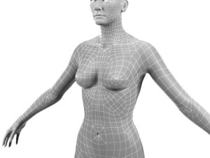 female body 3D-Modell
