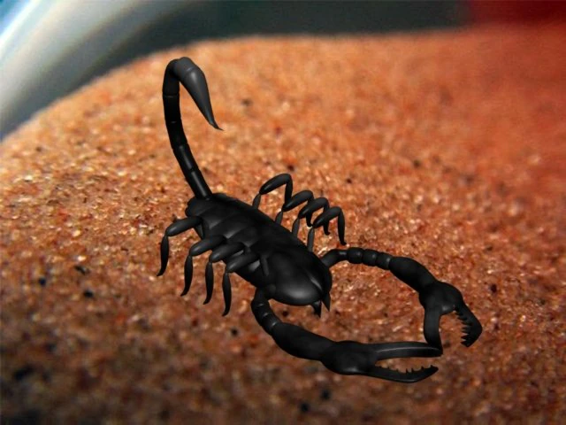 скорпион 3D Модель .c4d .max .obj .3ds .fbx .stl .blend 