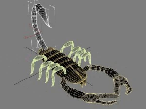 скорпион 3D Модель