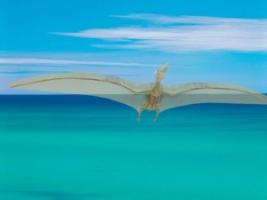 ceiling lamp pterodactyl 3D Модель
