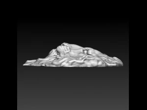 bajorrelieve del le&oacute;n 2 Modelo 3D