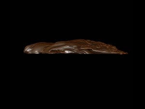 bas bear 3D Model