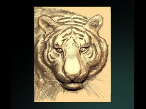 ussuri tiger bas Modello 3D