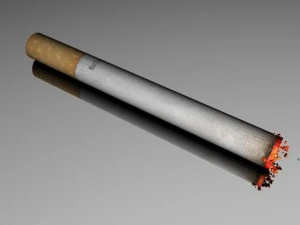a burning cigarette 3D Model