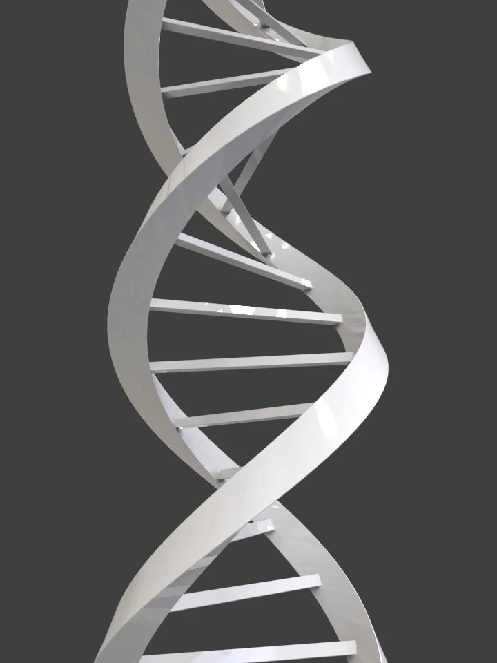 dna triangular 3D Model .c4d .max .obj .3ds .fbx .stl .blend 