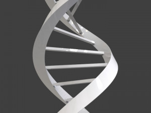dna triangular Model 3D
