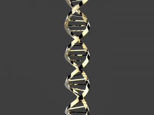 dna triangular 3D Model