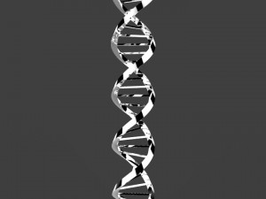 dna triangular Modello 3D