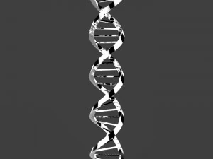 dna triangular 3D Model