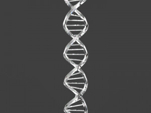 dna triangular Modello 3D