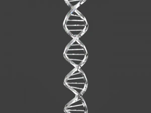 dna triangular 3D Model