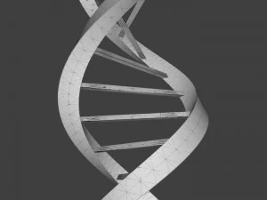 dna triangular 3D Model