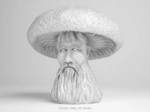 mushroom-old man 3D Model