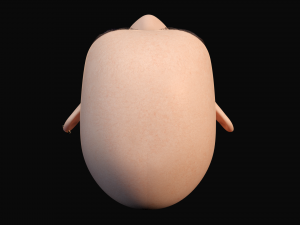 woman head 3D Model