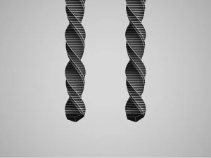 drills 3D Model