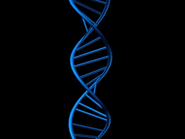 dna 3D Model .c4d .max .obj .3ds .fbx .stl .blend 